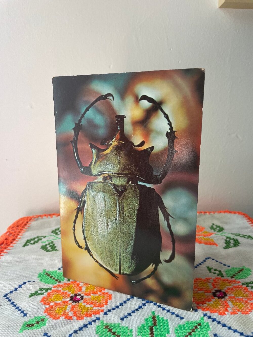 Vintage Beetle Blank Card
